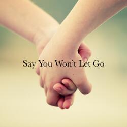 Say You Won't Let Go