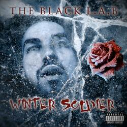 Winter Soldier