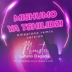 Mishumo Ya Tshilidzi (feat. Mr Brown, DJ LP Levels & Fafa)