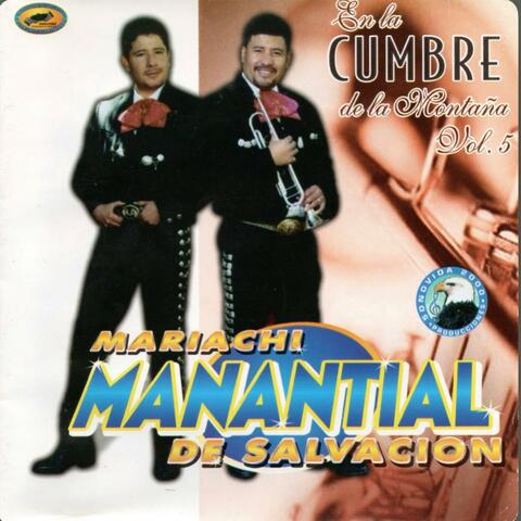 En La Cumbre De La Montaña