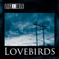 Lovebirds