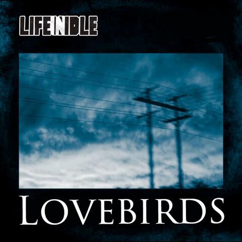 Lovebirds