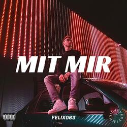 MIT MIR