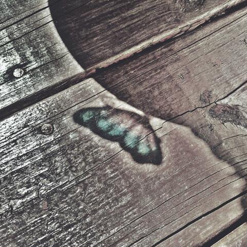 Larva (akustik)