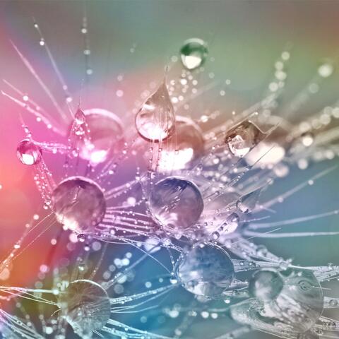 A Walk in Gentle Rain