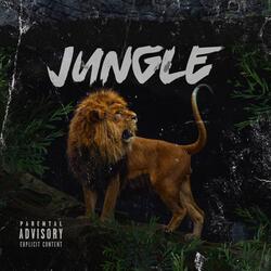 Jungle