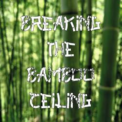 Breaking The Bamboo Ceiling