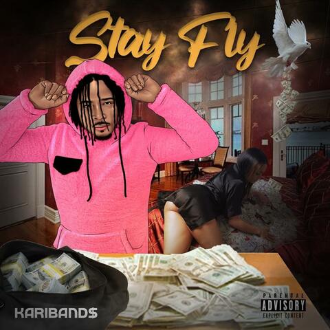 Stay Fly