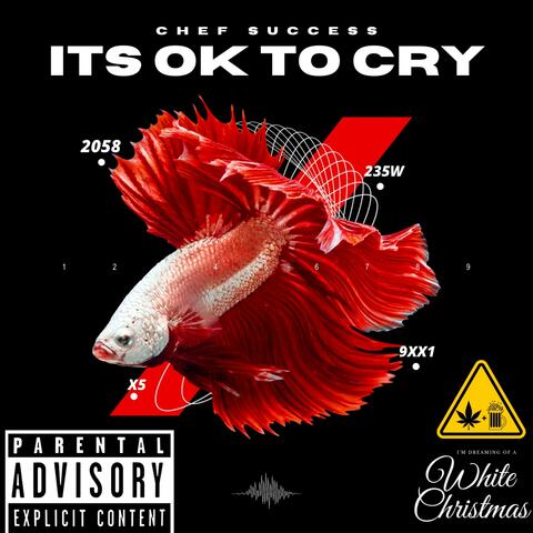 ITS OK TO CRY