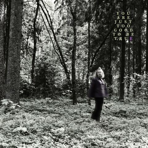 You Are Just Too Good To Be True