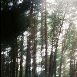 lost