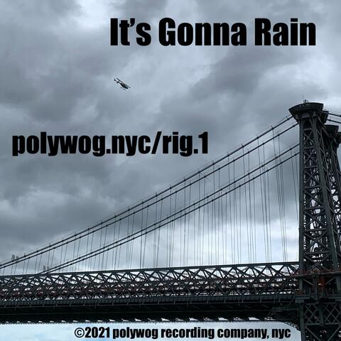 It's Gonna Rain (feat. polywog.nyc & rig 1)