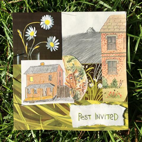 pest invited