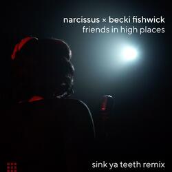 friends in high places (feat. Becki Fishwick)