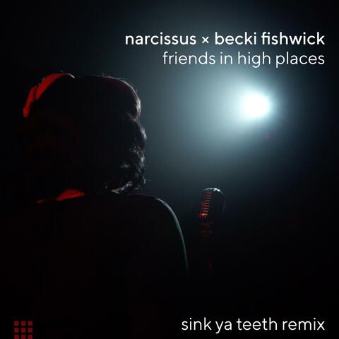 friends in high places (feat. Becki Fishwick) [Sink Ya Teeth Remix]