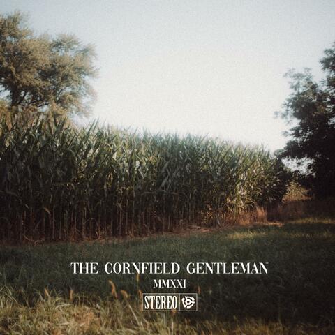 The Cornfield Gentleman