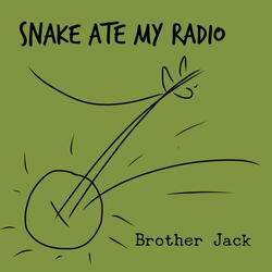 Snake Ate My Radio