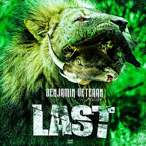 Last (feat. 2 Mellow) [Bonus Track]