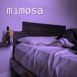mimosa