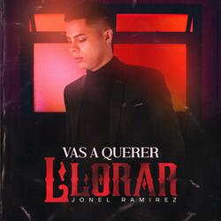 Vas A Querer Llorar