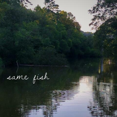 same fish