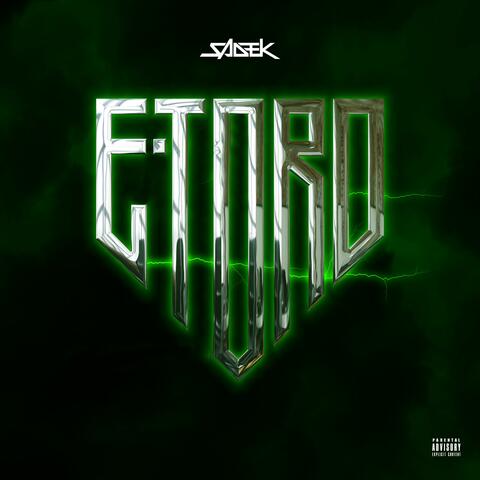 E-TORO