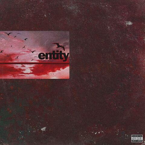 Entity