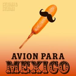 Avion para Mexico