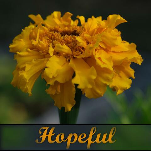 Hopeful
