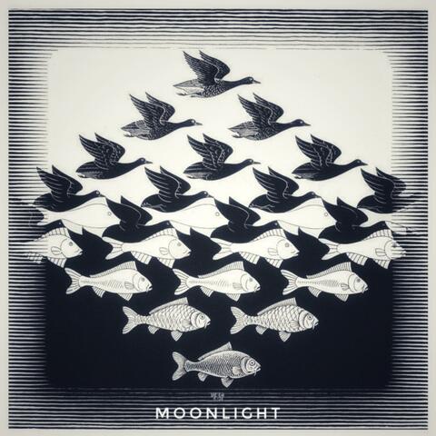 Moonlight