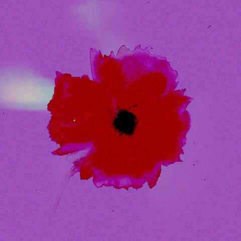 Red Eye