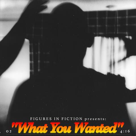 What You Wanted