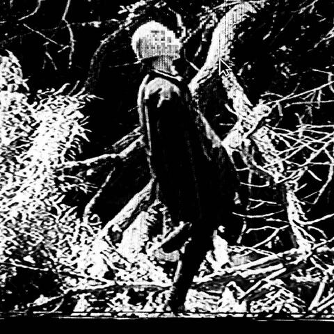 THE 444 FILES: SALEM