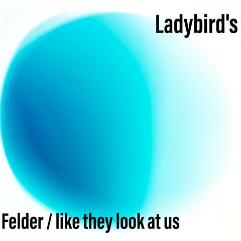 Felder / like they look at us