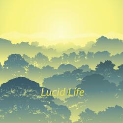 Dream Cycles (Noise)