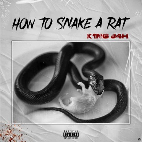 How To Snake A Rat