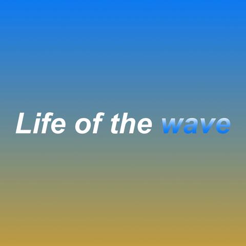 Life of the wave
