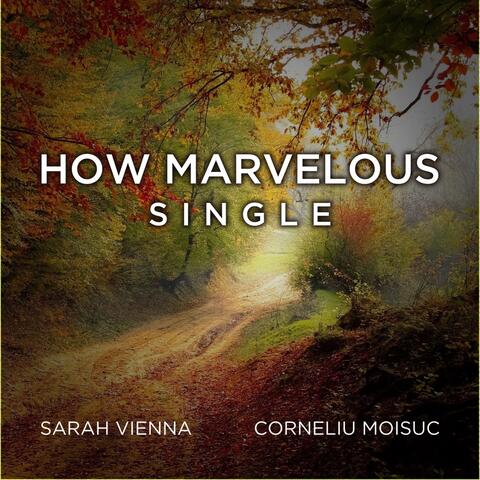 How Marvelous (I Stand Amazed) (feat. Corneliu Moisuc)