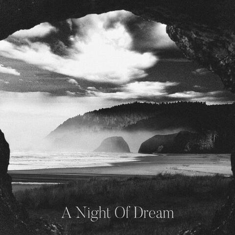A Night Of Dream