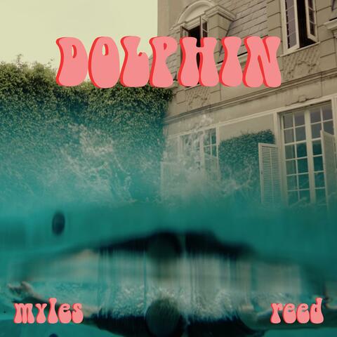 Dolphin