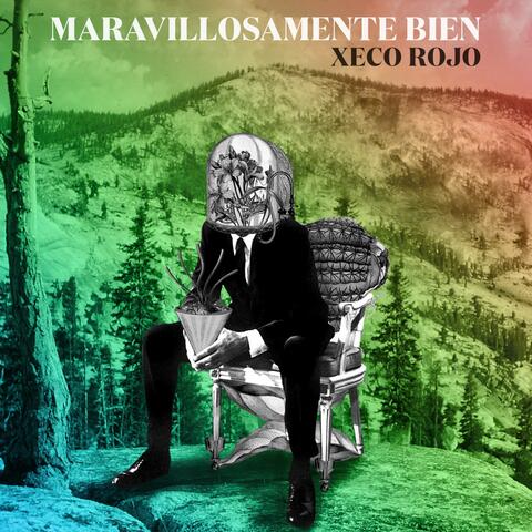 MARAVILLOSAMENTE BIEN
