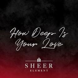 How Deep Is Your Love