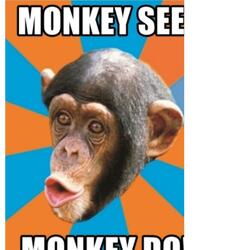 Monkey See Monkey Do (feat. Red Greezy)
