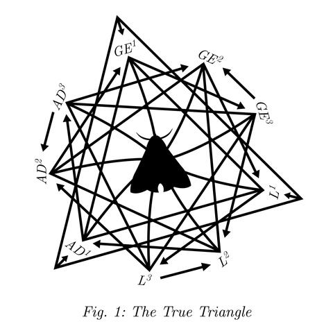 The True Triangle