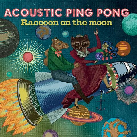 Raccoon on the Moon
