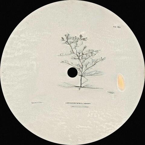 Forgotten techniques