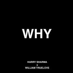 WHY (feat. William Truelove)