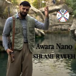 Shlami Raweh