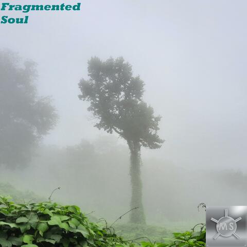 Fragmented Soul
