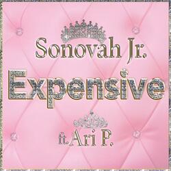 Expensive (feat. Ari P)